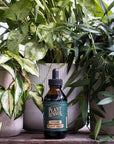 Liquid Indoor Plant Food by Plant Runnder with Hoya