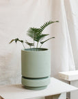 Low Pier Planter by The Plant Society x Capra Designs- Totem Collection - - THE PLANT SOCIETY