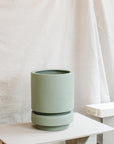 Low Pier Planter by The Plant Society x Capra Designs- Totem Collection - - THE PLANT SOCIETY