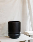 Low Pier Planter by The Plant Society x Capra Designs- Totem Collection - - THE PLANT SOCIETY