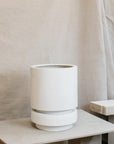 Low Pier Planter by The Plant Society x Capra Designs- Totem Collection - - THE PLANT SOCIETY