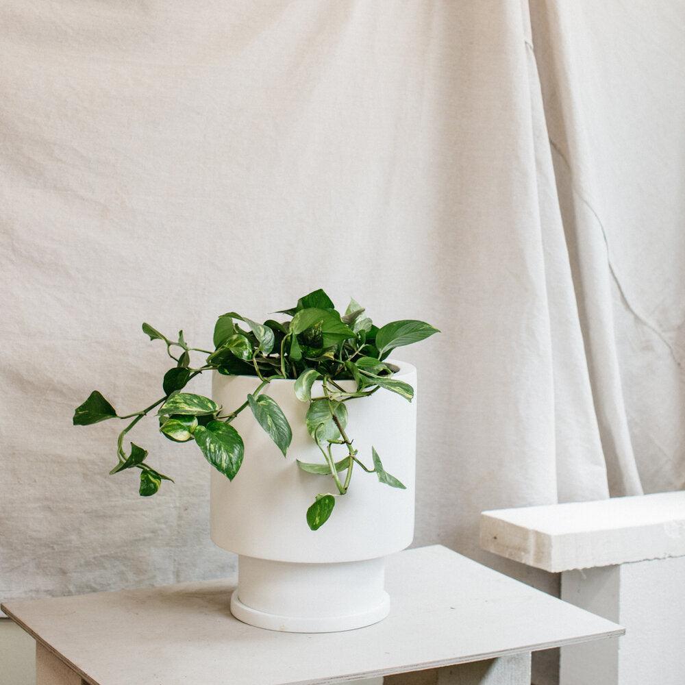 Low Tower Planter by The Plant Society x Capra Designs Totem