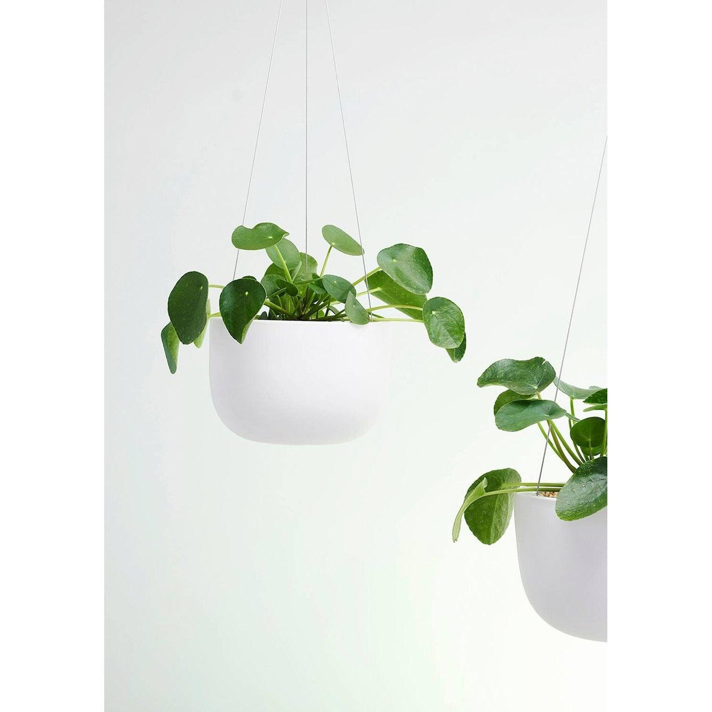 Raw Earth Hanging Planters by Angus & Celeste - THE PLANT SOCIETY