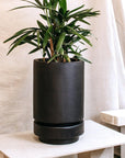 Tall Pier Planter Black by The Plant Society