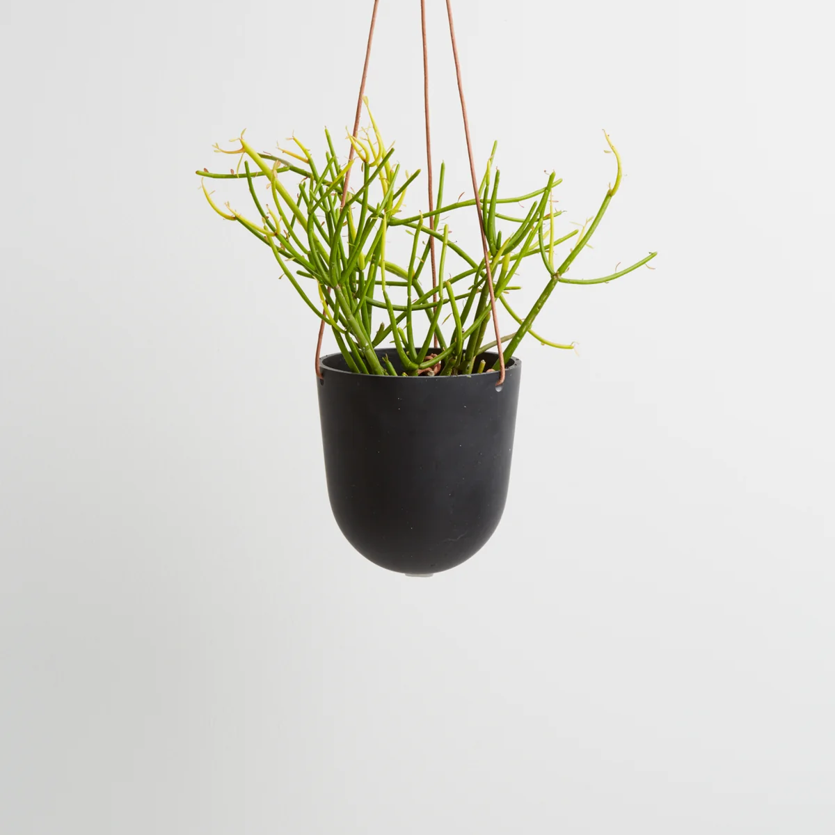 Hanging Planter by Capra Designs