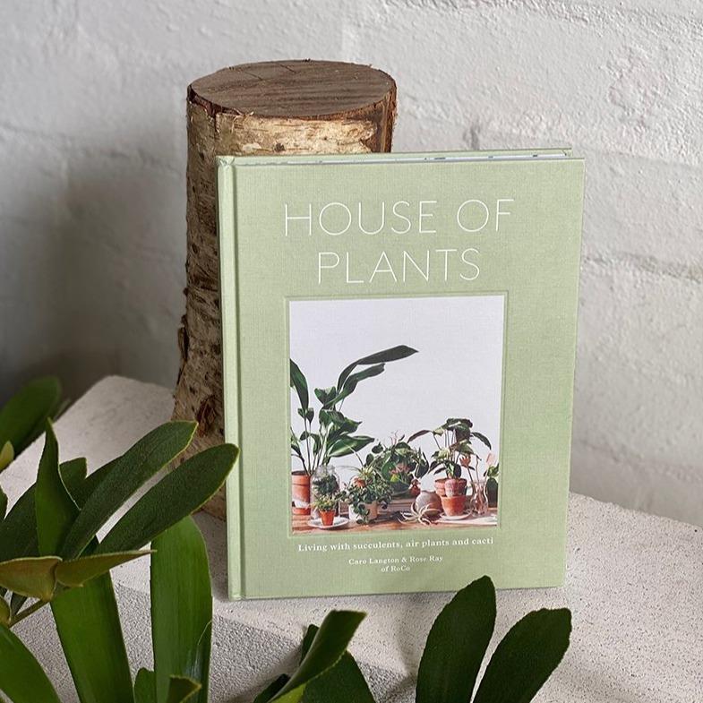 House of Plants by Caro Langton  Rose Ray – THE PLANT SOCIETY