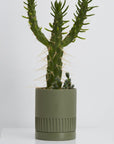 Etch Planter in Agave by Capra Designs