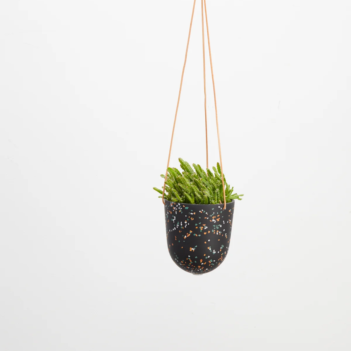 Hanging Planter by Capra Designs