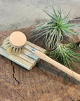 Dishbrush Everyday by Iris Hantverk - THE PLANT SOCIETY ONLINE OUTPOST