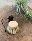 Dishbrush Everyday by Iris Hantverk - THE PLANT SOCIETY ONLINE OUTPOST