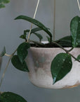 Moss Green Brass Hanging Planter by Leaf & Thread