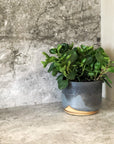 Midnight Sky Planter by Leaf & Thread - THE PLANT SOCIETY