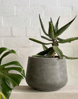 Low Tear Drop Planter