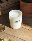 Maison Balzac La Rêve Candle - THE PLANT SOCIETY ONLINE OUTPOST