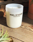 Maison Balzac Miel D'Hiver Candle - THE PLANT SOCIETY ONLINE OUTPOST