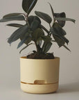 Self Watering Planter 170mm by Mr Kitly - THE PLANT SOCIETY ONLINE OUTPOST