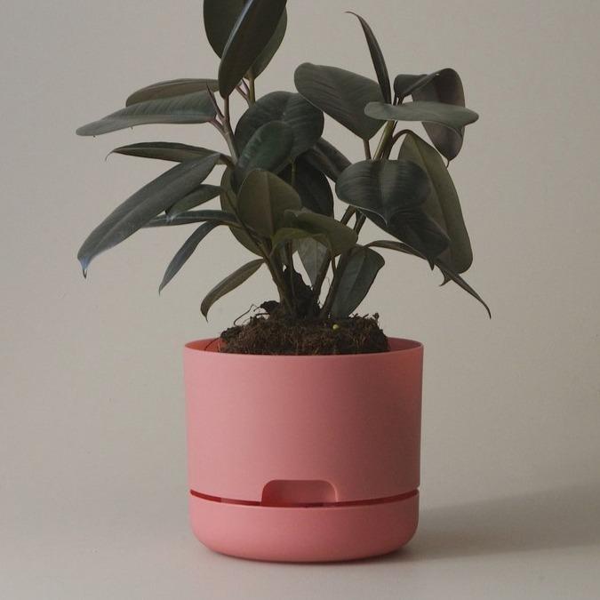 Self Watering Planter 170mm by Mr Kitly - THE PLANT SOCIETY ONLINE OUTPOST