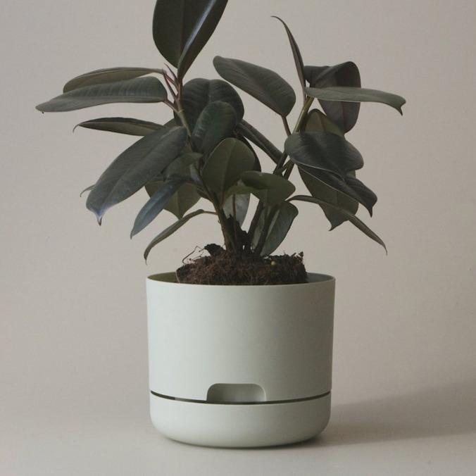 Self Watering Planter 375mm by Mr Kitly - THE PLANT SOCIETY ONLINE OUTPOST