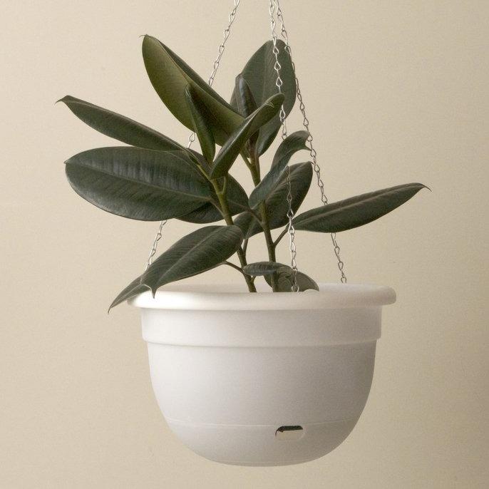 Self Watering Hanging Planter by Mr Kitly - THE PLANT SOCIETY ONLINE OUTPOST