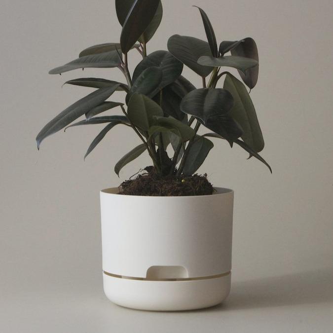 Self Watering Planter 170mm by Mr Kitly - THE PLANT SOCIETY ONLINE OUTPOST