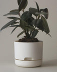 Self Watering Planter 170mm by Mr Kitly - THE PLANT SOCIETY ONLINE OUTPOST