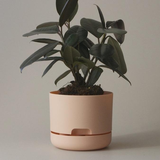 Self Watering Planter 170mm by Mr Kitly - THE PLANT SOCIETY ONLINE OUTPOST