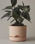 Self Watering Planter 170mm by Mr Kitly - THE PLANT SOCIETY ONLINE OUTPOST
