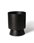Large Palm Springs in Black by Lightly Design