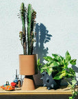 Medium Palm Springs in Burnt Sienna by Lightly Design
