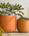 Calabria Planter