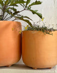 Calabria Planter