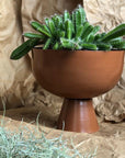 Small Vera Planter in Nutmeg by Lightly Design