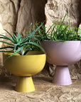 Small Vera Planter in Tumeric and Large Vera Planter in Orchid by Lightly Design