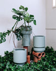 Low Tower Planter by The Plant Society x Capra Designs- Totem Collection - - THE PLANT SOCIETY