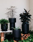 Totem planters black by The Plant Society