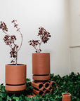 Tall Pier Planter Russet Tan by The Plant Society