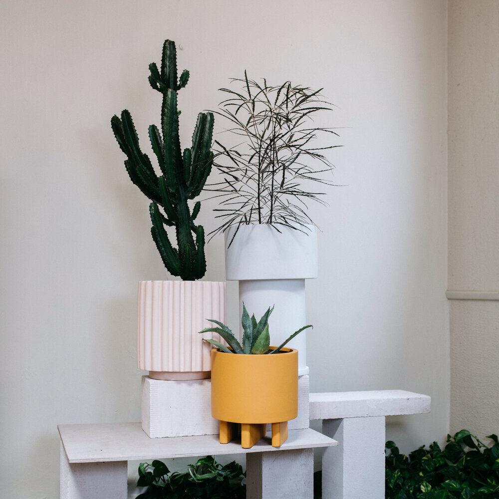 Tall Tower Planter by The Plant Society x Capra Designs- Totem Collection - - THE PLANT SOCIETY