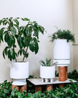 totem planters white by the plant society