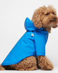 Sarah Dog Raincoat in Plain French Blue by The Painter's Wife - THE PLANT SOCIETY