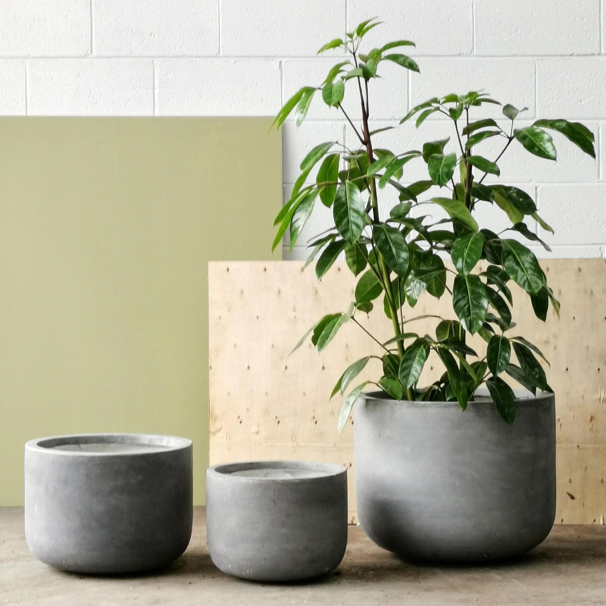 Gardeners Planter - Cement Grey - THE PLANT SOCIETY