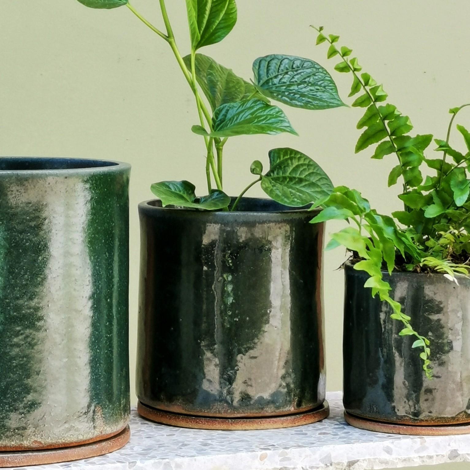 Moody Green Bench Planter by Jenn Johnston - THE PLANT SOCIETY