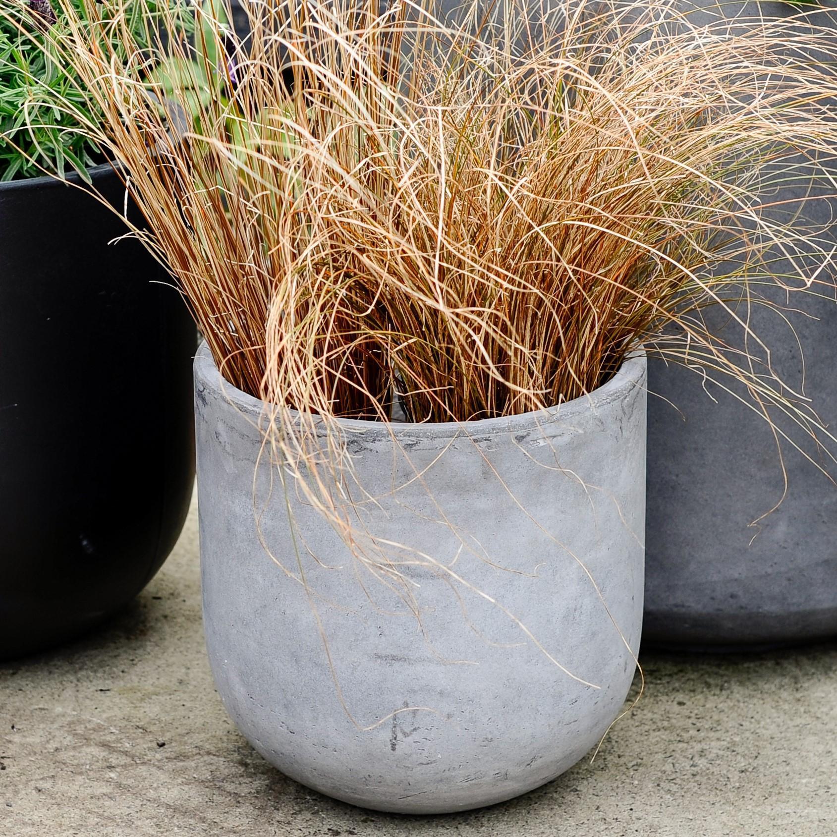 U-Planter - THE PLANT SOCIETY