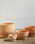 Pelosa Planter - THE PLANT SOCIETY