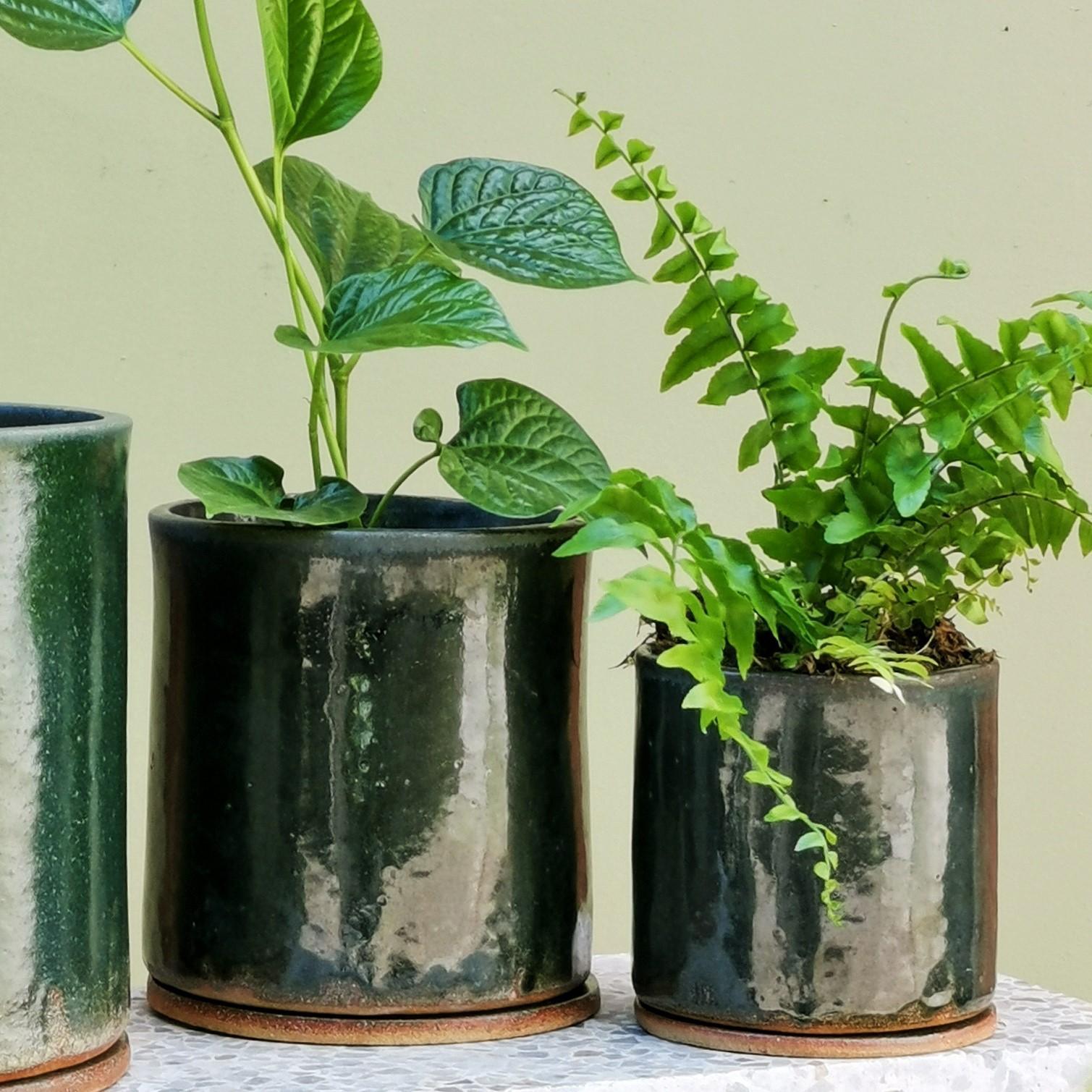 Moody Green Bench Planter by Jenn Johnston - THE PLANT SOCIETY