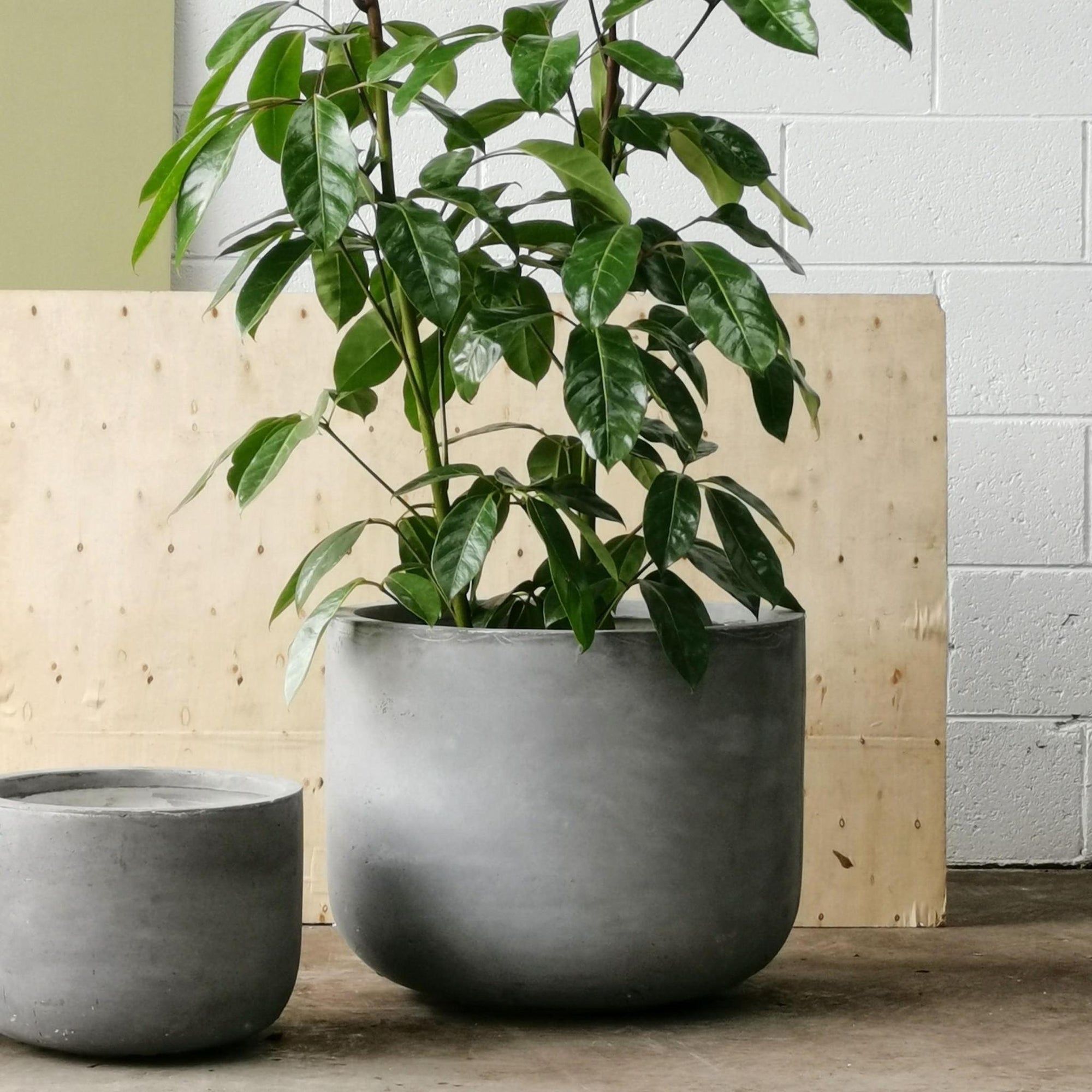 Gardeners Planter - Cement Grey - THE PLANT SOCIETY