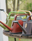6L Garden Watering Can by Royal Gardener's Club
