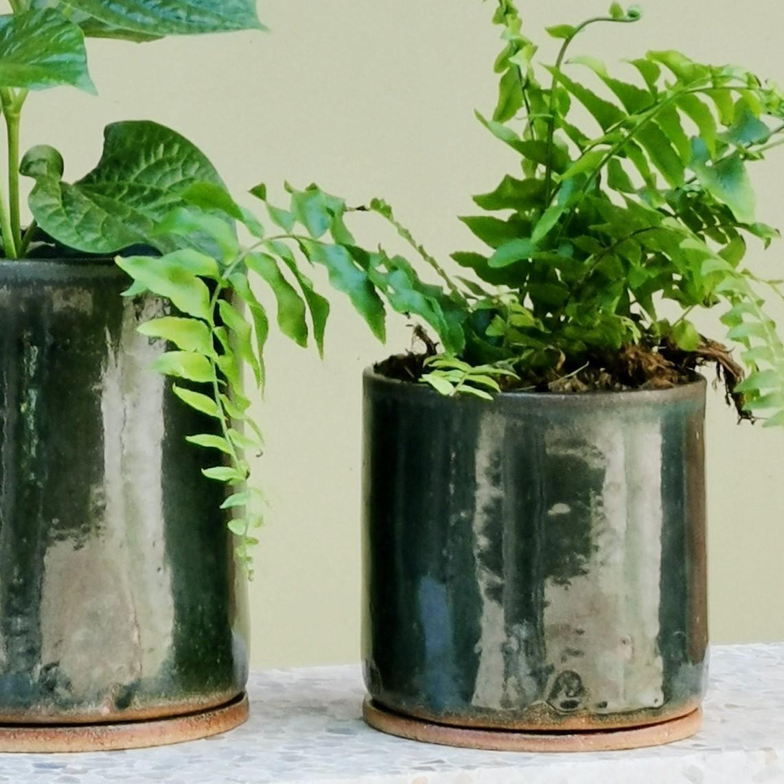 Moody Green Bench Planter by Jenn Johnston - THE PLANT SOCIETY