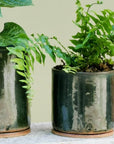 Moody Green Bench Planter by Jenn Johnston - THE PLANT SOCIETY