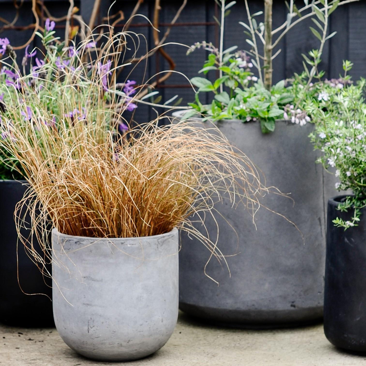 U-Planter - THE PLANT SOCIETY