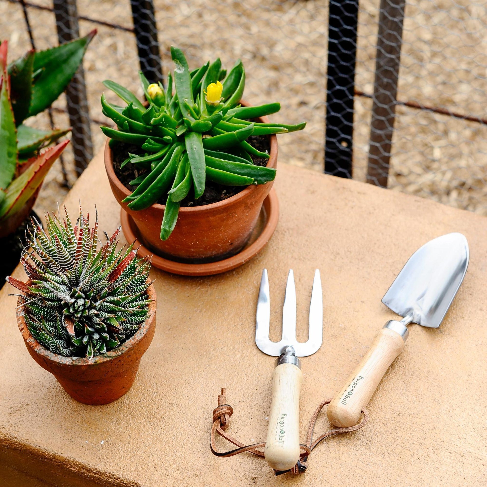 Children's Gardener's Tools - THE PLANT SOCIETY